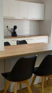 Apartment Struga Orion