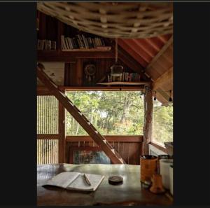 Jungle Surf Shack at Playa Maderas