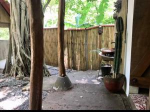 Jungle Surf Shack at Playa Maderas