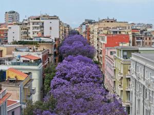 Center suite Cagliari img14