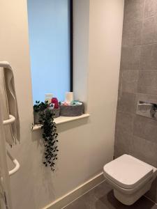 Central Birmingham 1 Bed Jewellery Quarter