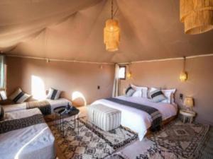 Luxury Tents Merzouga