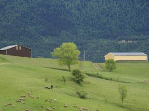 Appartements Lavish Apartment in Lus la Croix Haute with Mountain View : photos des chambres