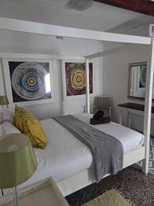 Ocean rush barracuda