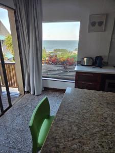 Ocean rush barracuda