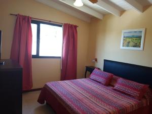 Complejo Ostra Negra