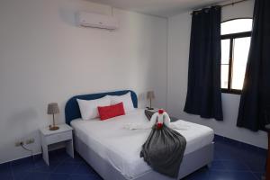 Venus Bayahibe by Mireya