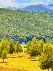 Forest Panorama Cabin Brezna
