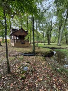 Peaceful Apartment nature right outside your door