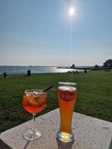 Neues Chalet MeerZeit aan Zee Nr 76 am Weltnaturerbe Wattenmeer mit eingezäunten Garten große Terrasse top Ausstattung