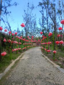 Peace and Love Homestay