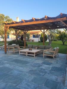 Beachfront cottage house in olive grove