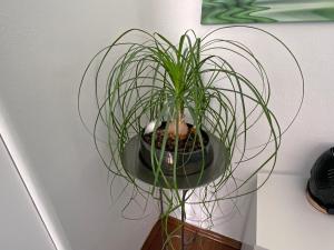 Jacky & Daniels Apartments Top 2