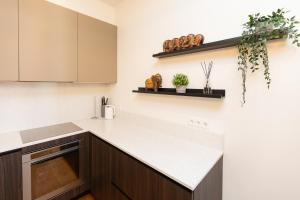 Stylish 1-Bedroom Apartment in Riga City Center with King Bed