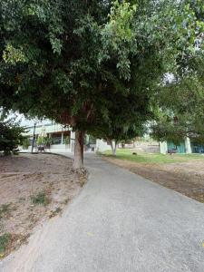 Flat Vila Monte Castelo