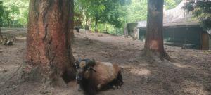 Déjá Vu Szállás & Rendezvény Zirc