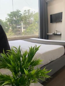 hotel spark