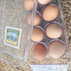 Cajun Comfort Cottage