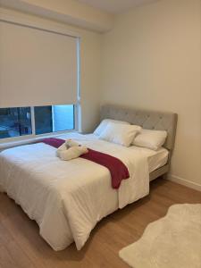Luxury 2bed 1bath suit