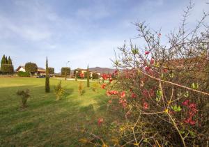 Agriturismo Podere Sant Agnese