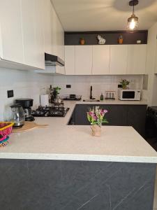 Refugio Andino Modern and New