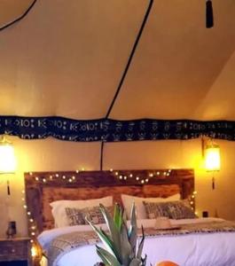 Luxury Camp Plus Activities