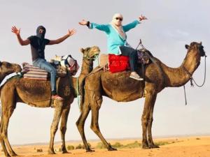 Luxury Camp Plus Activities
