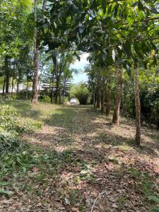 The Grove Chanthaburi Private Garden Villa