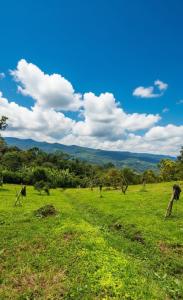 Casa campestre con piscina privada, bbq y fogata