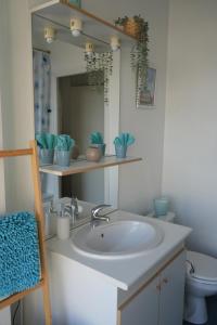 Les coquelicots Grand Place ARRAS