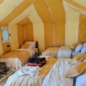 Desert Pearl Luxury Camp