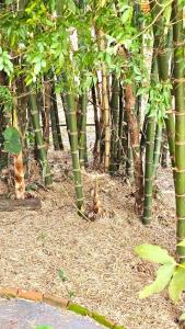 Residencia La Serena Amor por la naturaleza