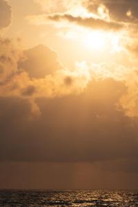 Apartment with sea view in Batumi