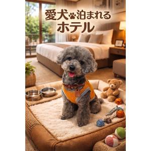 다카오카 NUDA by H-SEVEN TOYAMA (Adult Only) 1성급 숙소 객실