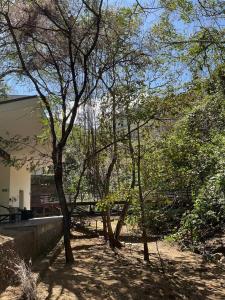 Apartamento vista al bosque, rea BBQ, trekking, ro, piscinas, jacuzzi y gym