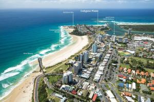 Calypso Plaza Resort Unit 217