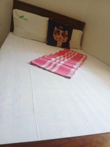 緑豊かな森のホームステイgreen forest homestay