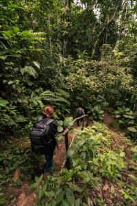 Amazonía Wings Lodge