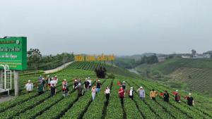 Framstay Mây Sườn Đông