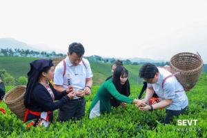 Framstay Mây Sườn Đông