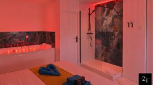 LE 21 - Suite LUXE - JACUZZI Privatif & Vue Rhône