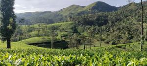 Misty Crest Cottage Vagamon