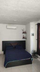 Departamento Campeche Periférico, Tren Maya y UAC Campus V, Qfb y biología