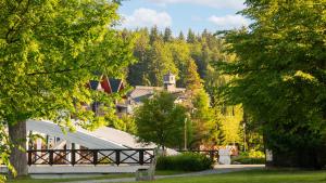 Hotel Savoy Špindlerův Mlýn