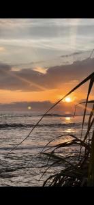 Surf Lodge Madiha