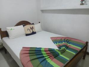 緑豊かな森のホームステイgreen forest homestay