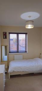 Exclusive Single Room in Luxury Bedford Apartment