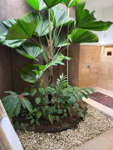 Property to remove