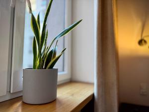 Golden rooms by Rentoom