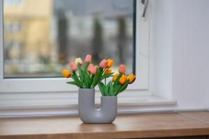 MoHost Brown - Your sweet spot in Brasov